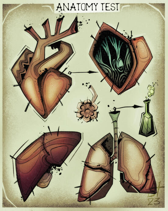 Anatomy Test [Illustration]
